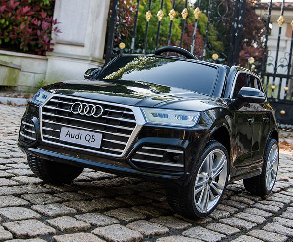 Xe O To Dien Audi Q5 (3)