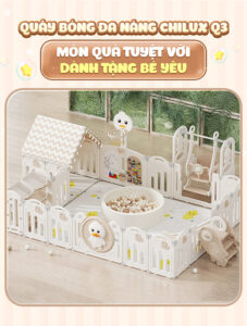 Quây bóng đa năng Chilux Q3